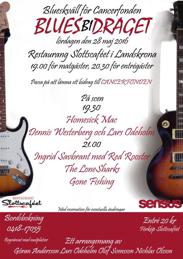 bluesbidraget20160528_a4